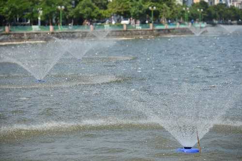 Hà Nội lắp 4 hệ thống 'quạt khí trời' cứu cá Hồ Tây