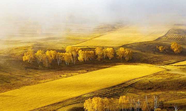 Ảnh: Mùa thu đẹp mê hồn trên thảo nguyên Nội Mông