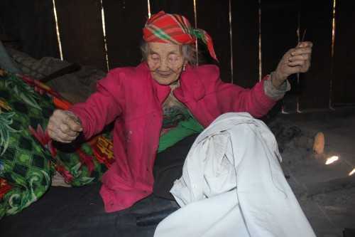 Bí ẩn thảo dược trường thọ ở vùng đất những người trăm tuổi