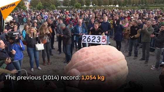 Choáng với quả bí ngô khổng lồ, nặng gần 1,2 tấn phá kỷ lục thế giới