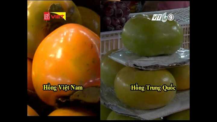 Cách phân biệt quả hồng Việt Nam và Trung Quốc