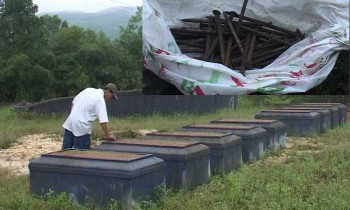 Hàng ngàn ngôi mộ bị đóng đinh ở Huế: Xác định kẻ tình nghi