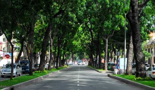 TP.HCM di dời 75 cây xanh để xây dựng đường sắt đô thị