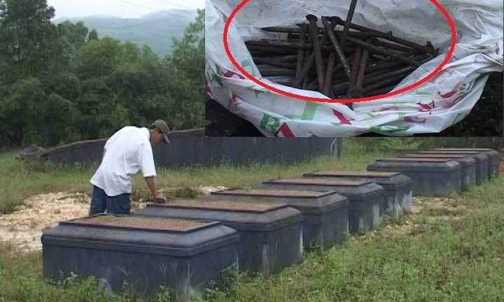 Hàng ngàn ngôi mộ bị kẻ xấu đóng đinh: Chuyện xưa nay chưa từng có