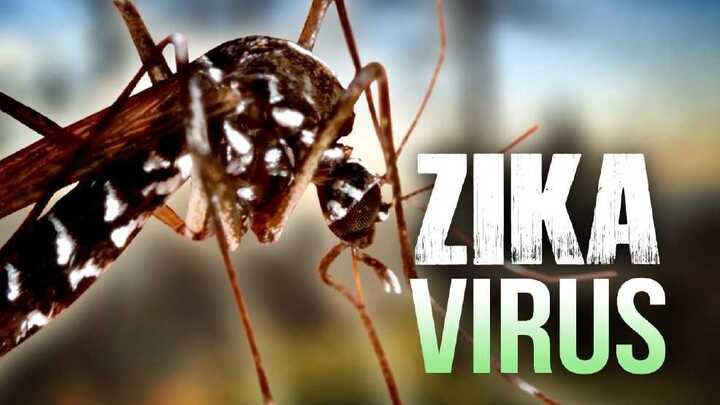 TP.HCM chính thức công bố dịch Zika