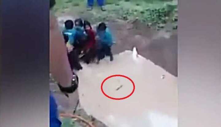 Nữ sinh khóc thét khi bị thả xuống hố nước đầy rắn để học kỹ năng sinh tồn