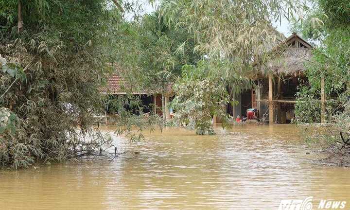 Miền Trung mùa lũ, đau đáu những niềm thương
