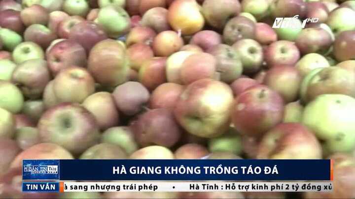 Sự thật về 'táo đá Hà Giang' đang tràn lan các chợ