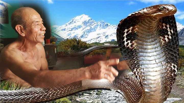 Sự thật chuyện rắn khổng lồ 'báo oán' ở công trường đường cao tốc Quảng Ninh