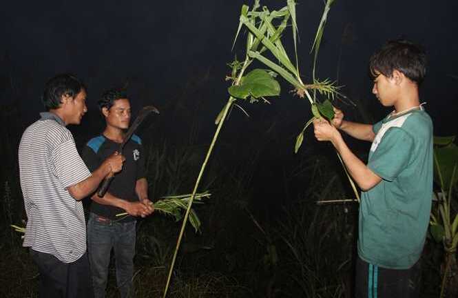 Kỳ lạ hủ tục mang gà trắng đổi gà đen cúng cái chết xấu, bịt đường ma về làng