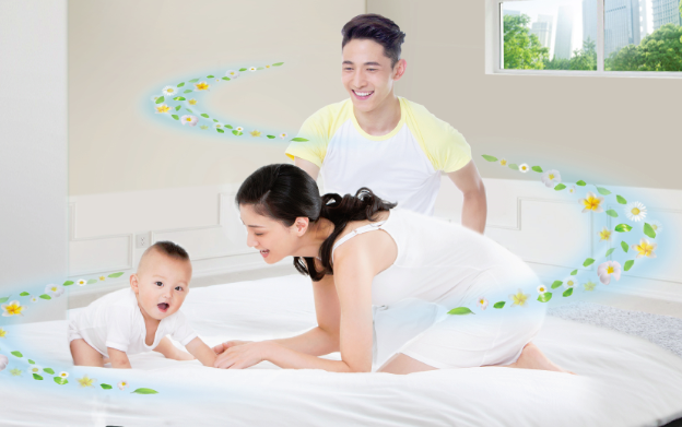 Cách tạo 'lá phổi' thanh lọc không khí trong ngôi nhà của bạn