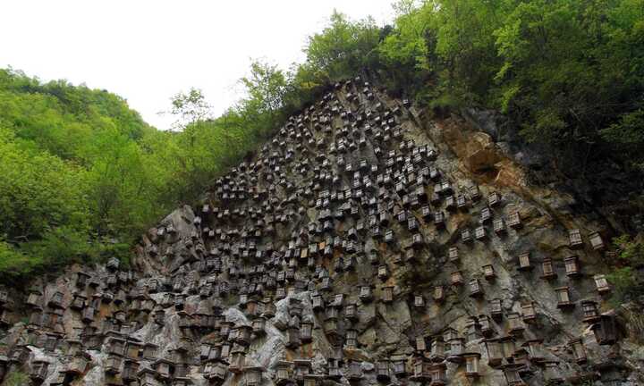 Những 'cỗ quan tài' chi chít trên vách núi cheo leo ở Trung Quốc là gì?