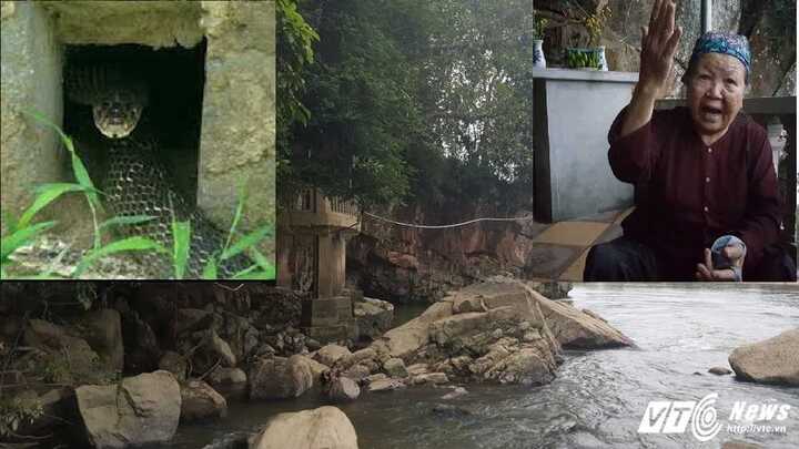 Bí ẩn rắn khổng lồ ở Quảng Ninh: Bà lão già trong ngôi miếu thờ Rắn