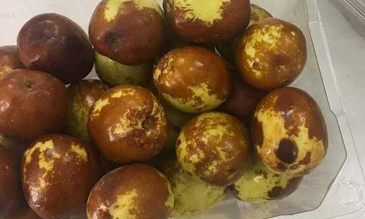 Táo tàu Hàn Quốc xách tay: 720.000 đồng/kg vẫn cháy hàng