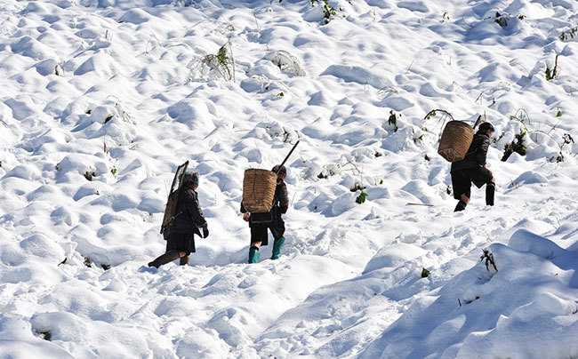 Mùa đông năm nay lạnh hơn nhiều so với năm ngoái