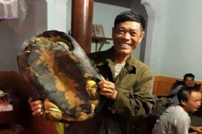 'Cụ rùa' nặng 16kg bò vào nhà dân ở Nghệ An