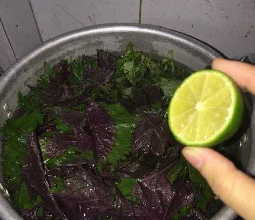 Xông hơi bằng lá tía tô để trắng da, mặt lại 'nở hoa'