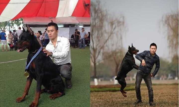 Chàng trai Hà Thành sở hữu trang trại chó Doberman tiền tỷ