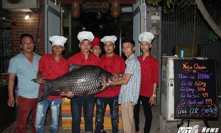 Cá hô hiếm thấy 56kg 'dẫn đầu' bộ tứ cá khủng lần đầu về Hà Nội, thực khách tranh nhau mua