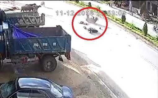 Xe máy phóng tít mù, đâm sầm vào đàn trâu đang qua đường