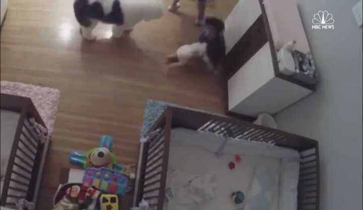 Video: Bé 9 tuổi nhanh tay cứu em trai đang rơi tự do
