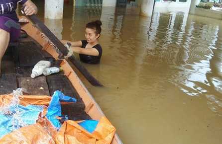 Cảm phục những cô giáo liều mình cứu trường trong lũ