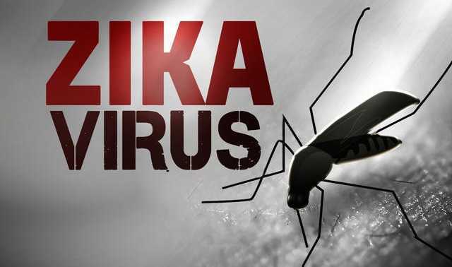 Thông tin mới nhất về dịch Zika tại TPHCM
