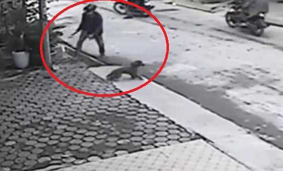 4 'cẩu tặc' giăng thòng lọng trộm chó bị chủ nhà xông ra truy đuổi