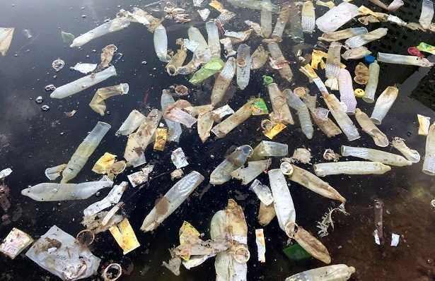 Hà Nội: Bao cao su phủ trắng hồ Linh Đàm từ đâu ra?