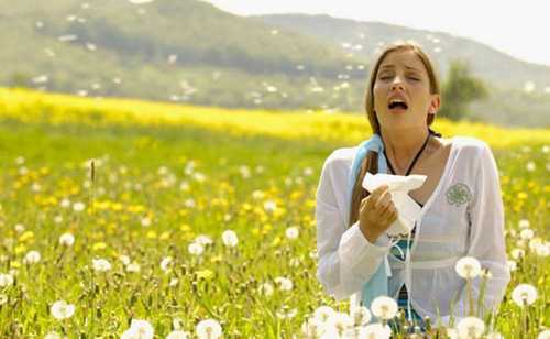 8.500 người nhập viện vì 'bão hen suyễn'