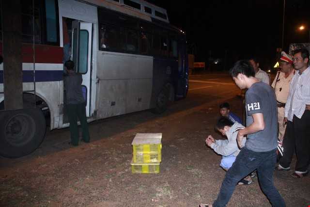 Kinh hãi phát hiện 120 con rắn hổ mang trên xe khách