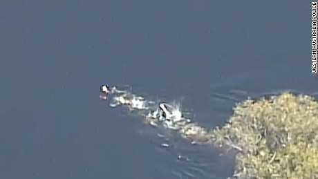 Video: 'Nghẹt thở' xem cảnh sát Australia bơi đuổi bắt tội phạm trên sông