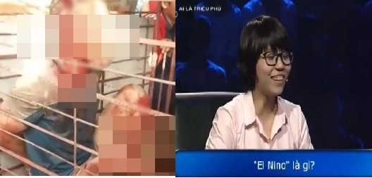 Kỹ sư không biết El Nino là gì, người dân nhốt kẻ trộm chó trong lồng gây 'bão mạng'