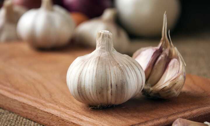 Nghiên cứu mới: Đàn ông ăn nhiều tỏi có mùi hấp dẫn phụ nữ