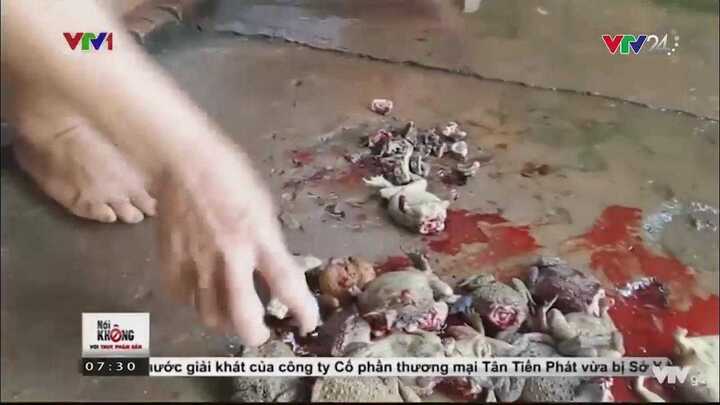 Xem clip này ai còn dám ăn thịt cóc?