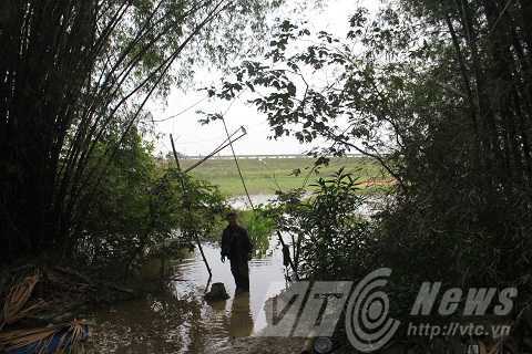 Cuộc sống kỳ lạ và thảm thương của cặp vợ chồng giữa 'cánh đồng hoang'