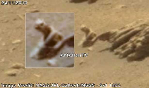 Phát hiện loài 'bò sát' có sừng bí ẩn trên bề mặt sao Hỏa