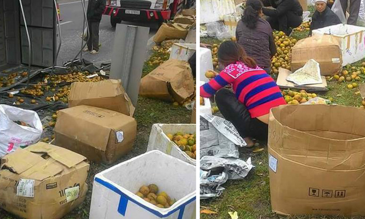 Xe tải chở cam lật giữa đường, dân chung tay thu gom giúp tài xế