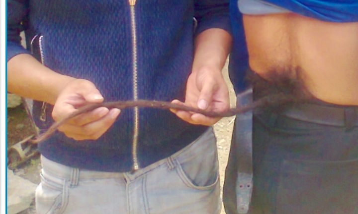 Chuyện tình như cổ tích của người mọc đuôi ở Hà Giang