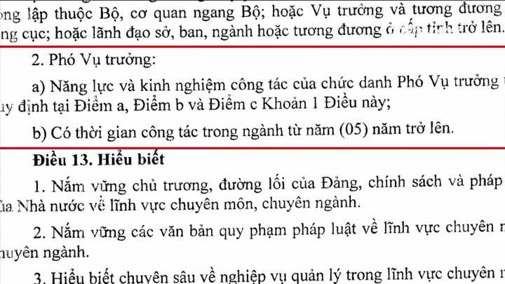 Để được bổ nhiệm Vụ phó cần đáp ứng tiêu chuẩn gì?