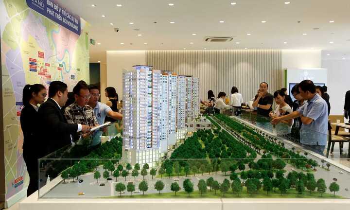 Cổ phiếu Novaland được kỳ vọng trở thành Blue Chip