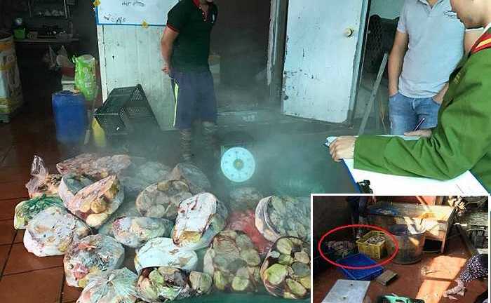 Hà Nội: Tiêu hủy gần 1 tấn nội tạng động vật mốc xanh