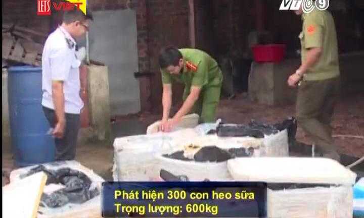 Clip: Bắt 300 con heo sữa bốc mùi hôi thối đang chờ lên bàn nhậu, tiệc cưới