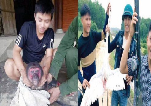 Xác định kẻ hả hê khoe 'chiến tích' săn bắt động vật hoang dã trên facebook