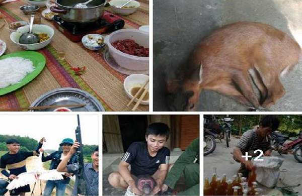 Kẻ hả hê khoe 'chiến tích' săn bắt động vật hoang dã trên facebook là nam sinh lớp 12