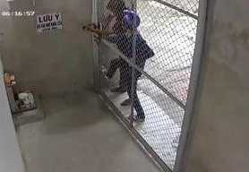 Clip: Trộm gặp phải ổ khóa 'cứng', đành 'bó tay' rút lui