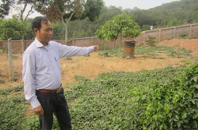 Mục sở thị thần dược quý hơn nhân sâm Triều Tiên chỉ dùng để tiến Vua