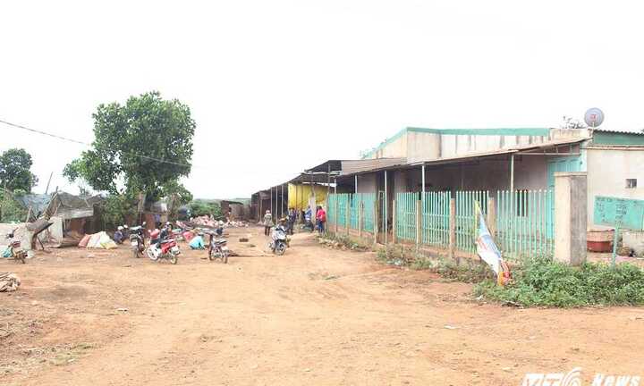 Sau 1 đêm, hàng trăm tấn cà phê 'bốc hơi' cùng chủ đại lý