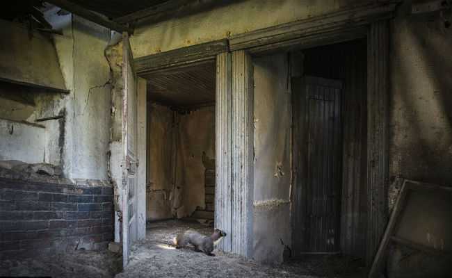 Chở bạn gái mới quen qua mạng đến nhà hoang đòi giao cấu