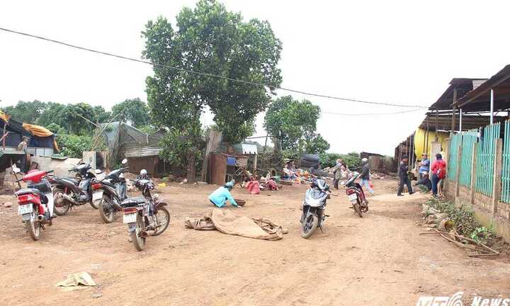 Chủ đại lý cà phê 'bốc hơi' cùng hàng chục tỷ đồng ra trình diện